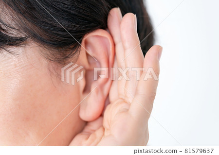 高級女性耳朵 81579637