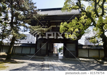 從院內看到的高龍寺的“羅門”（京都市右京區八岡渦正町） 81579754