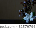 Gardenia (gardenia) 81579794
