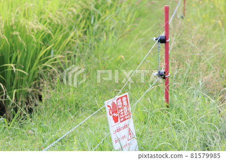 Electric fence to repel wild boar Electric fence to repel wild boar 81579985