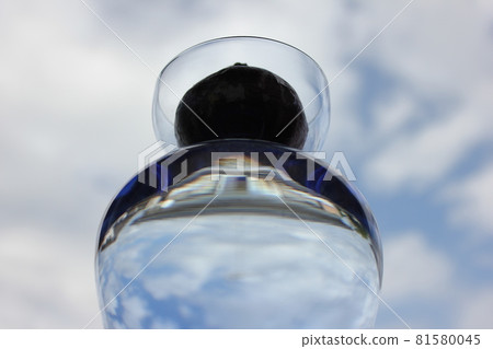 風信子。 ○○水栽法○○。 81580045