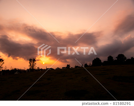 Summer dusk scenery Park in Tokyo Summer dusk scenery Park in Tokyo 81580291