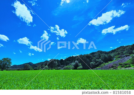 宮瀨湖濱公園的草坪和藍天 宮瀨湖濱公園的草坪和藍天 81581058