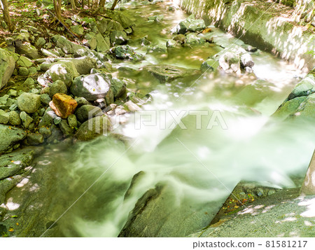 夏季清澈的山間溪流，慢速快門拍攝的水流 81581217