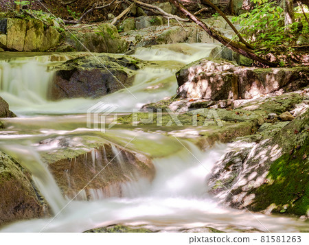 A view of a clear mountain stream in summer, a water stream taken with a slow shutter A view of a clear mountain stream in summer, a water stream taken with a slow shutter 81581263