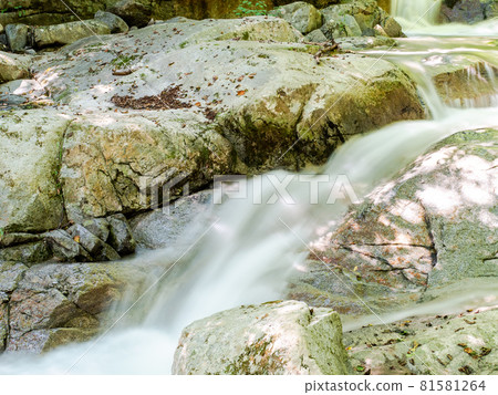A view of a clear mountain stream in summer, a water stream taken with a slow shutter A view of a clear mountain stream in summer, a water stream taken with a slow shutter 81581264