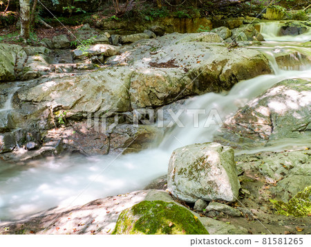 A view of a clear mountain stream in summer, a water stream taken with a slow shutter A view of a clear mountain stream in summer, a water stream taken with a slow shutter 81581265