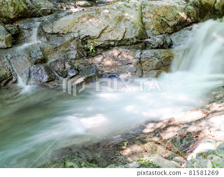 A view of a clear mountain stream in summer, a water stream taken with a slow shutter A view of a clear mountain stream in summer, a water stream taken with a slow shutter 81581269