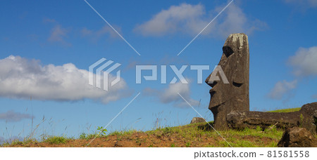 Moai stone sculptures at Rano Raraku, Easter island, Chile. Moai stone sculptures at Rano Raraku, Easter island, Chile. 81581558
