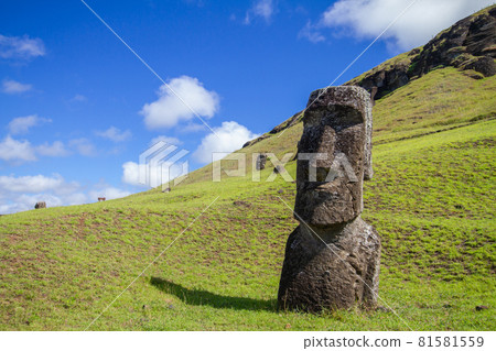 Moai stone sculptures at Rano Raraku, Easter island, Chile. 81581559