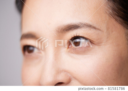 中年美女 中年美女 81581786