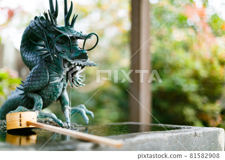 Dragon of Chozuya in Tamonin, Tokorozawa City, Saitama Prefecture 81582908