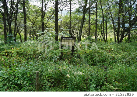 An old sign in Numanohara, Haruna Kogen, Gunma Prefecture 81582929