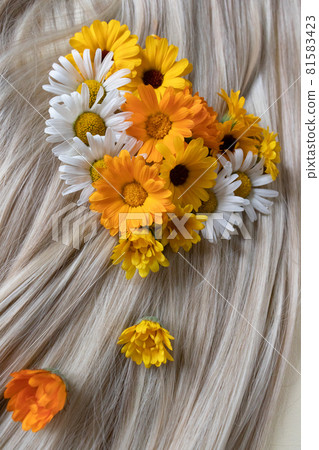 Blond hair with chamomile and calendula flowers. 81583423