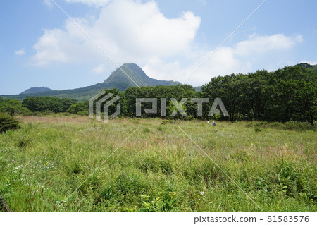 群馬縣榛名高原伊香保湖榛名湖路望著遊杉路散步道後面是相間山 81583576
