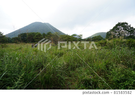 View Haruna Fuji from the south course of Yusuge no Michi, Haruna Kogen, Gunma Prefecture 81583582