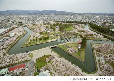 函館五棱郭公園的櫻花-2021年春季- 81583995