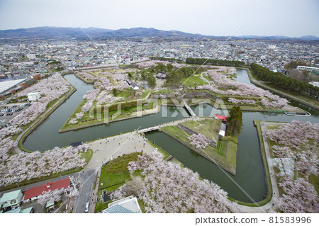 Sakura in Goryokaku Park, Hakodate-Spring 2021- 81583996