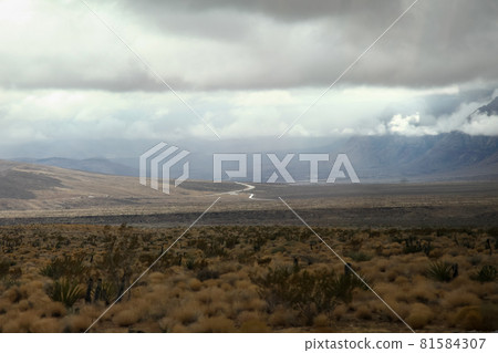 View of red rock canyon national park in Foggy day at nevada,USA. View of red rock canyon national park in Foggy day at nevada,USA. 81584307