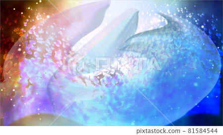 海豚和鯨魚在不同的維度游泳 海豚和鯨魚在不同的維度游泳 81584544