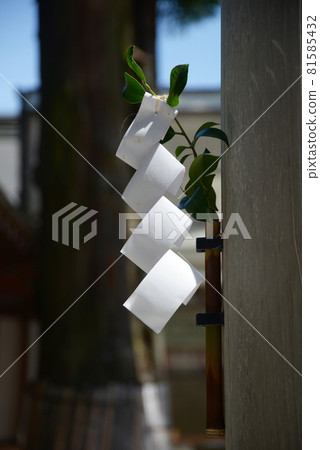 Oomiwa Shrine Shide, Sakurai City, Nara Prefecture 81585432