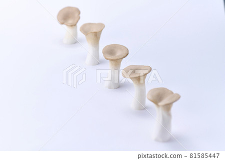 King trumpet with a white background and cleanliness 81585447