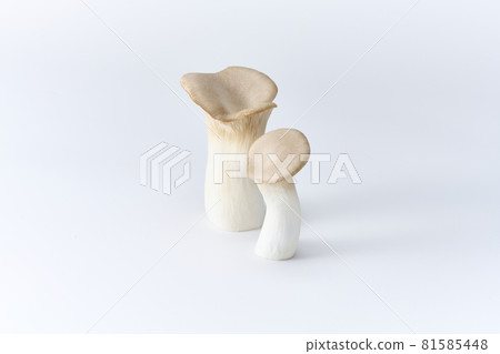 King trumpet with a white background and cleanliness 81585448