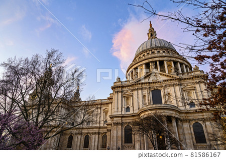 St. Paul's Cathedral in London, UK. Evening view of St Paul's taken from the south of the cathedral. View of the dome framed by trees. St. Paul's Cathedral in London, UK. Evening view of St Paul's taken from the south of the cathedral. View of the dome framed by trees. 81586167
