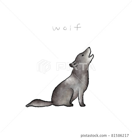 Wolf hand drawn illustration material Wolf hand drawn illustration material 81586217