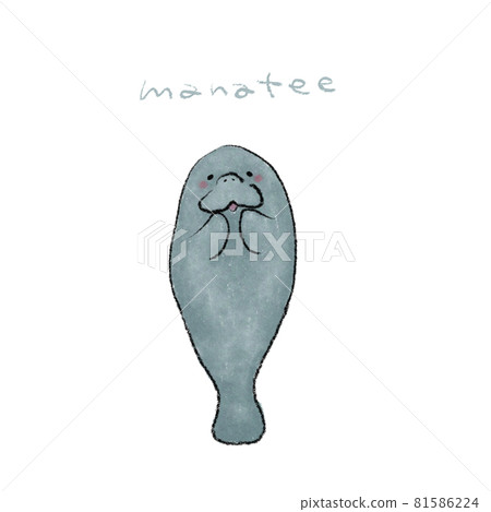 海牛手繪插畫素材 海牛手繪插畫素材 81586224