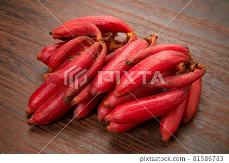 血紅肉果蘭 血紅肉果蘭 81586783