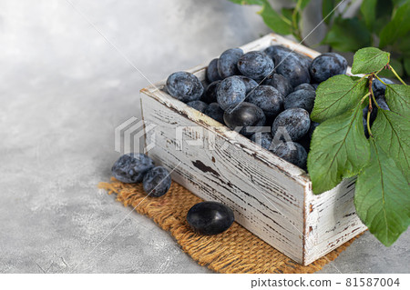 Plums on a light background. Harvesting the autumn harvest. Making jam and sauce. Still life. Plums on a light background. Harvesting the autumn harvest. Making jam and sauce. Still life. 81587004