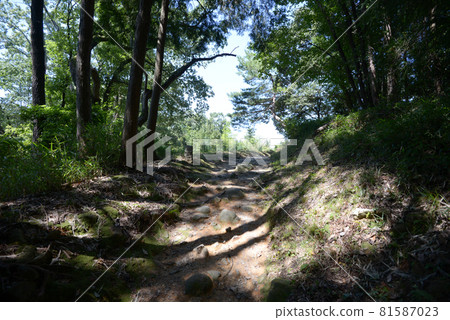 奈良縣山邊道櫻井市 奈良縣山邊道櫻井市 81587023