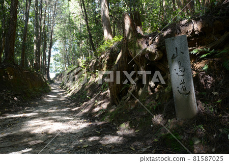 奈良縣山邊道櫻井市 奈良縣山邊道櫻井市 81587025