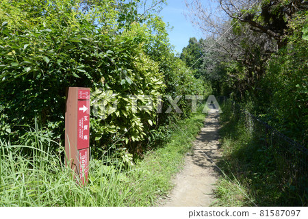 奈良縣山邊之道 Shirube 櫻井市 奈良縣山邊之道 Shirube 櫻井市 81587097