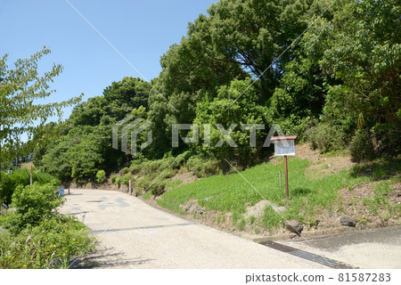 奈良縣櫻井市玉木山古墳群 奈良縣櫻井市玉木山古墳群 81587283