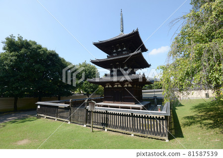 Kofukuji Mie Pagoda, Nara City, Nara Prefecture Kofukuji Mie Pagoda, Nara City, Nara Prefecture 81587539