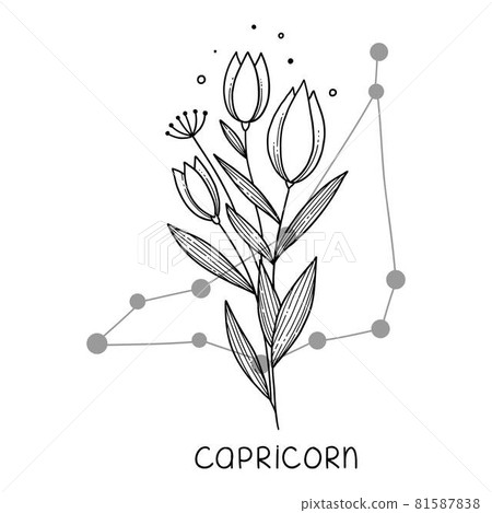 Capricorn, Zodiac Sign, Astrology Symbol Graphic by AnastasiyaArtDesign ·  Creative Fabrica