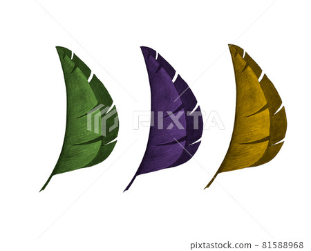 Banana leaves tropical watercolor green yellow lilac, for your design. Banana leaves tropical watercolor green yellow lilac, for your design. 81588968