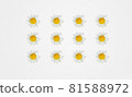 White daisy pattern with water droplets on white background 81588972