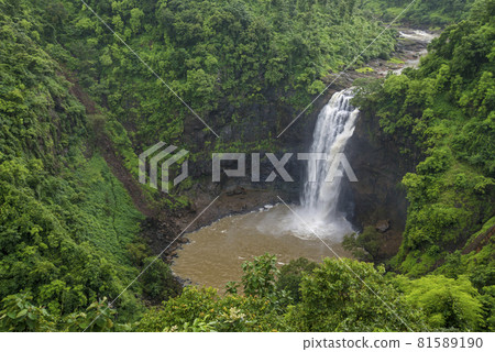 Dabhosa waterfall, Jawhar, Thane, Maharashtra, India, one of the highest waterfalls situated near Mumbai 81589190