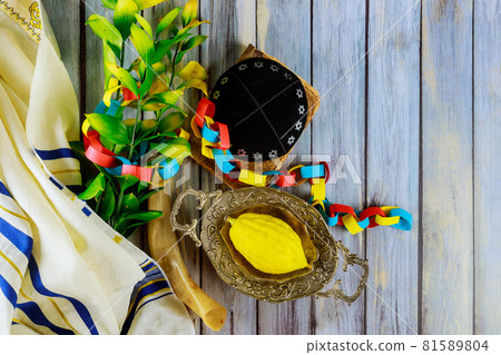 Sukkot in Etrog yellow citron of traditional symbols religion of Jewish festival Sukkot in Etrog yellow citron of traditional symbols religion of Jewish festival 81589804