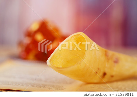 Symbols Jewish festival holiday religious tradition attributes Symbols Jewish festival holiday religious tradition attributes 81589811