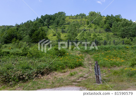 志賀高原前山池遊路線起點 志賀高原前山池遊路線起點 81590579