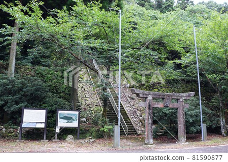 八坂神社（東仙城跡） 81590877