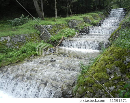 日本河景:重要文化遺產牛富士河 法式階梯多級瀑布 日本河景:重要文化遺產牛富士河 法式階梯多級瀑布 81591871