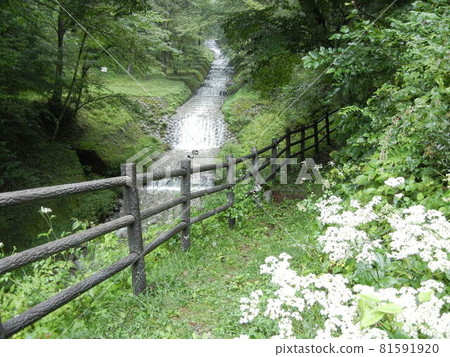 日本河景:重要文化遺產牛布瀨川溪流和法式階梯階梯瀑布 日本河景:重要文化遺產牛布瀨川溪流和法式階梯階梯瀑布 81591920