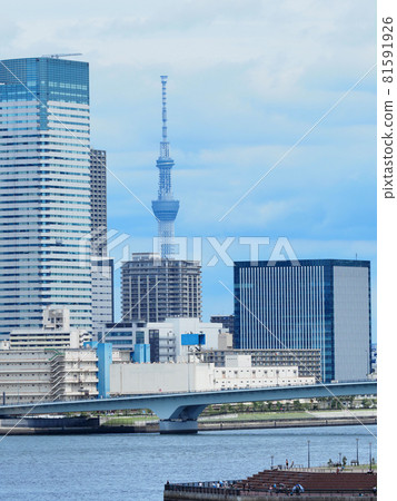 夏天從東京灣看到的海灣 夏天從東京灣看到的海灣 81591926