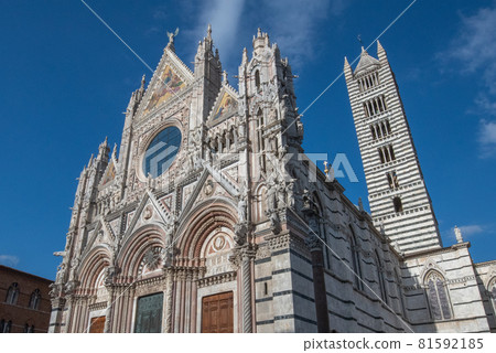 Siena, a local city in Tuscany Siena, a local city in Tuscany 81592185