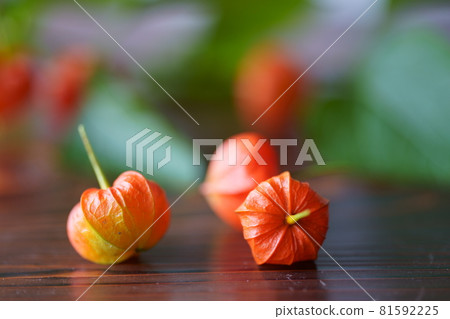 桌子上的月月 81592225